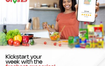 How Bros D App is Revolutionizing Grocery Shopping in Lagos
