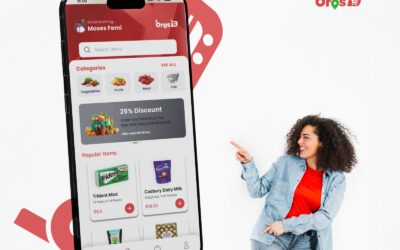 Top 10 Benefits of Using Bros D App for Your Grocery and Service Needs